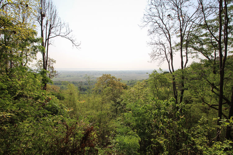 Doi Inthanon