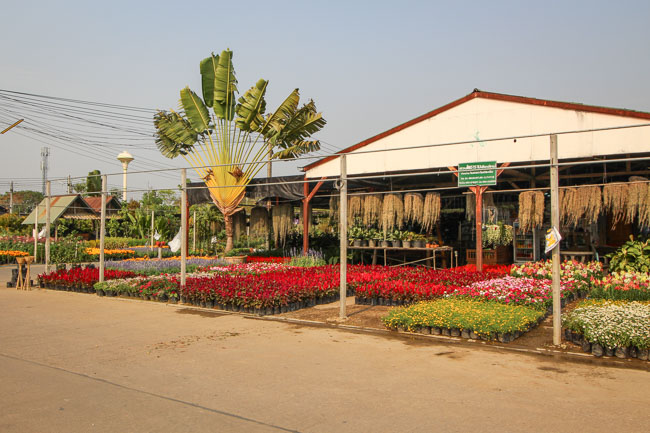 Khamtieng Market in Chiang Mai