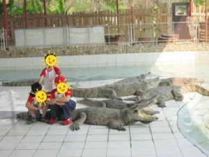 Safety and danger in Thailand/ kids crocodiles