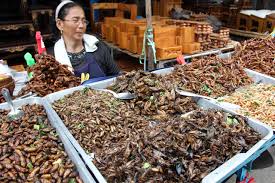 Thailand Edible Insects Street Food